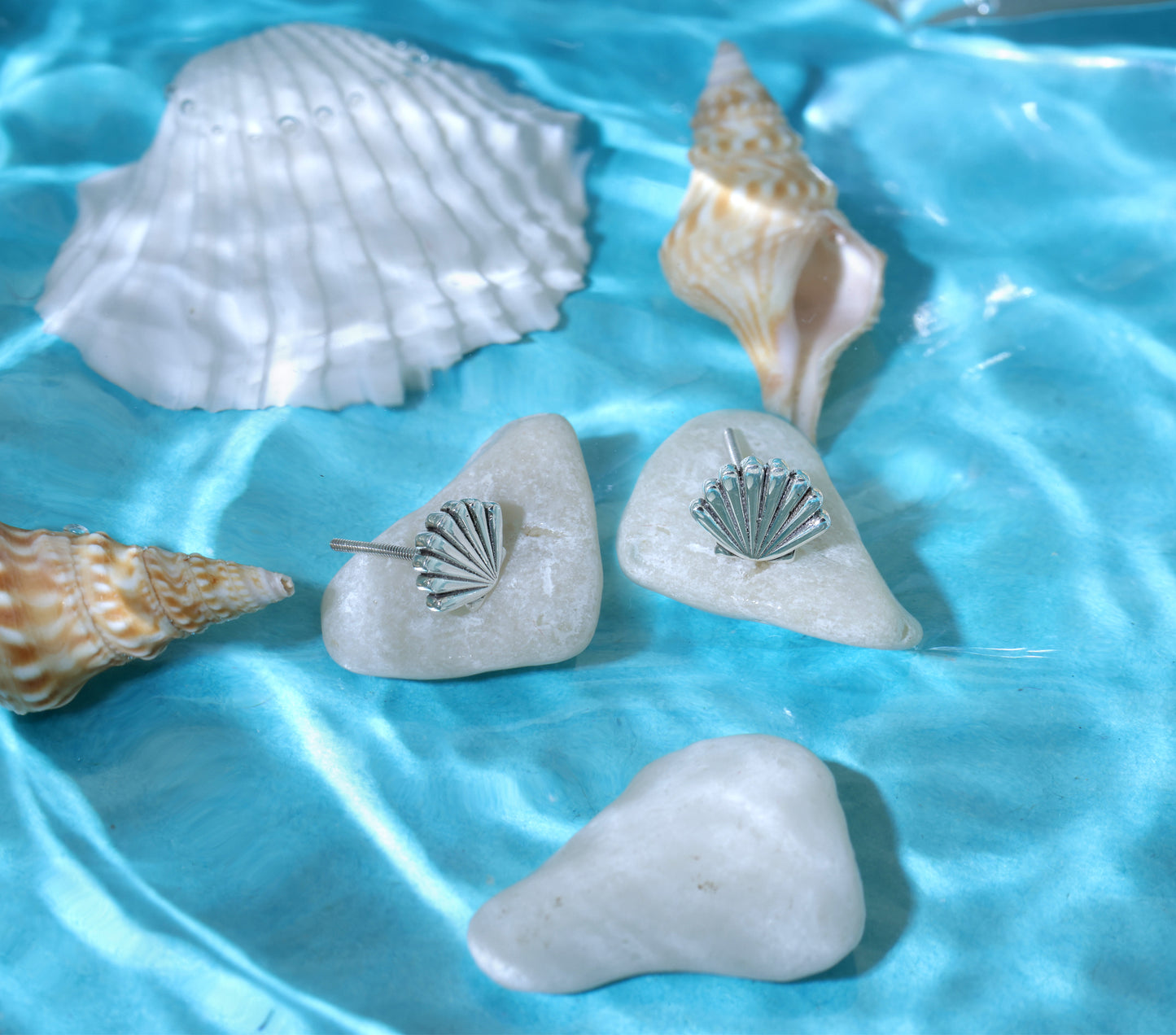 Seashell Stud Earrings