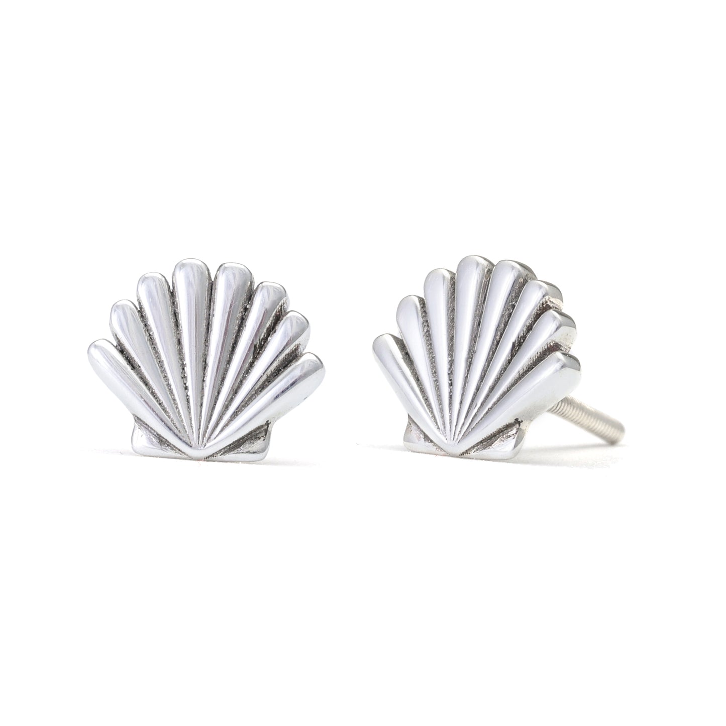 Seashell Stud Earrings