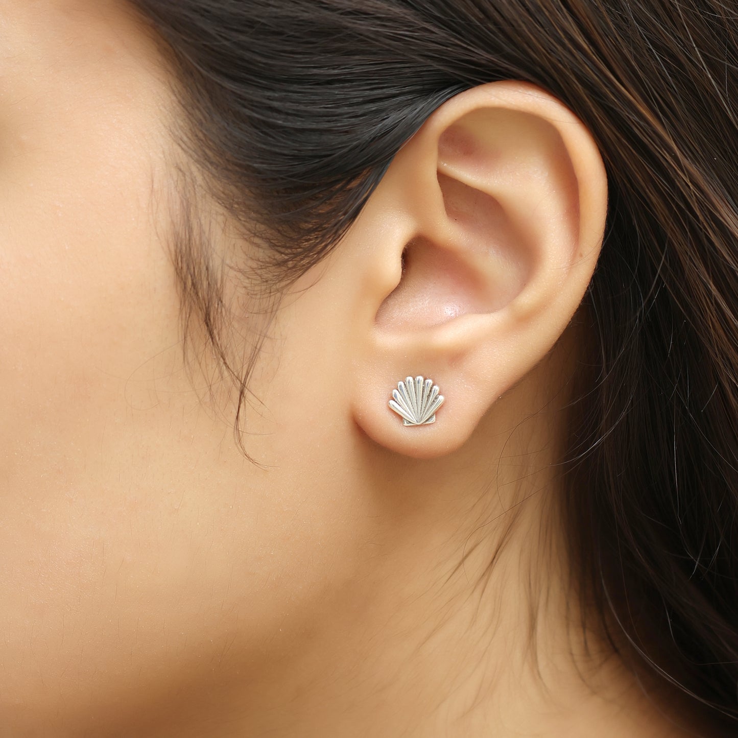 Seashell Stud Earrings