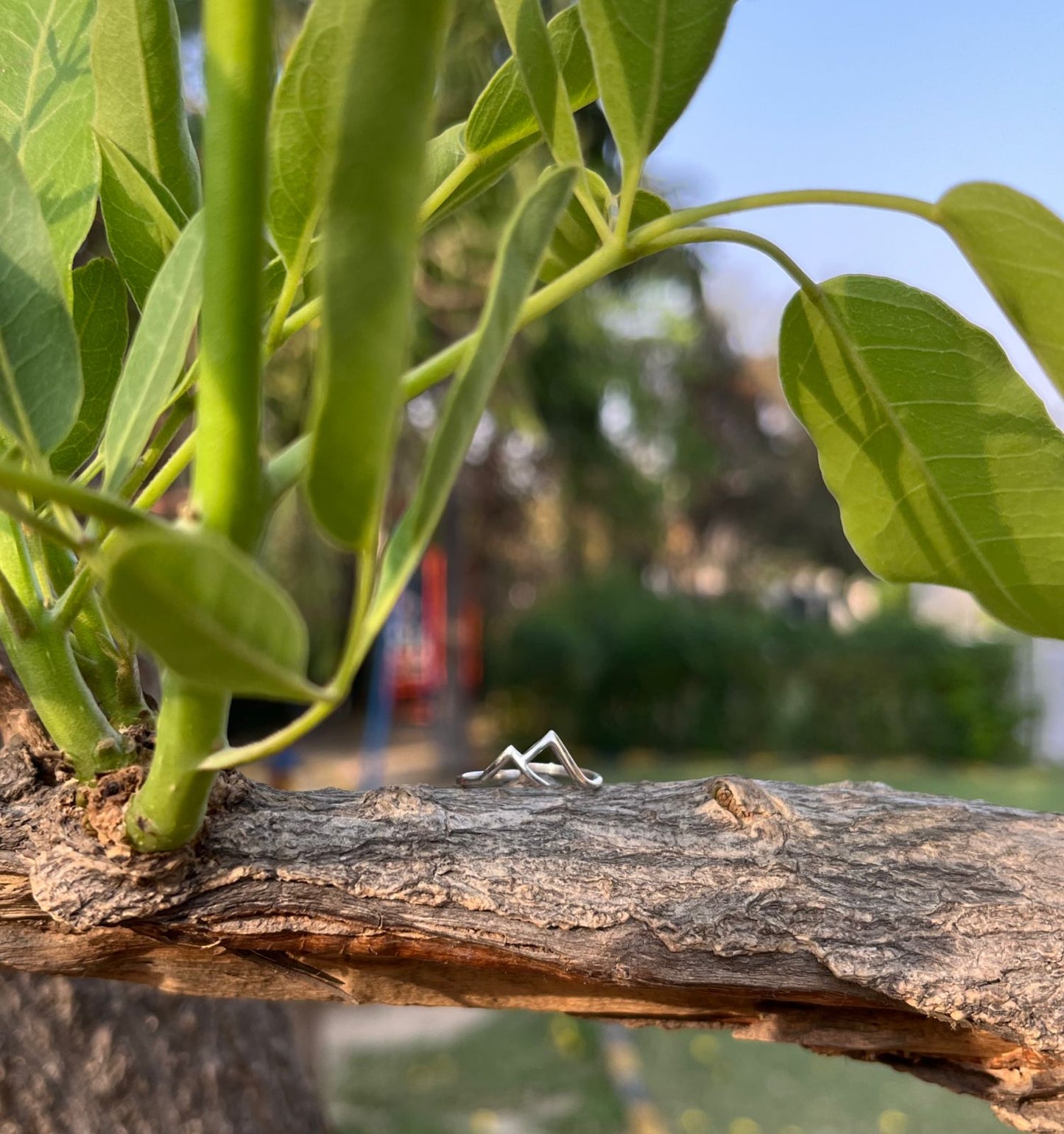 Peak-a-Boo Silver Ring